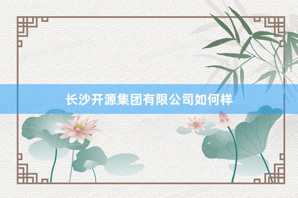 长沙开源集团有限公司如何样